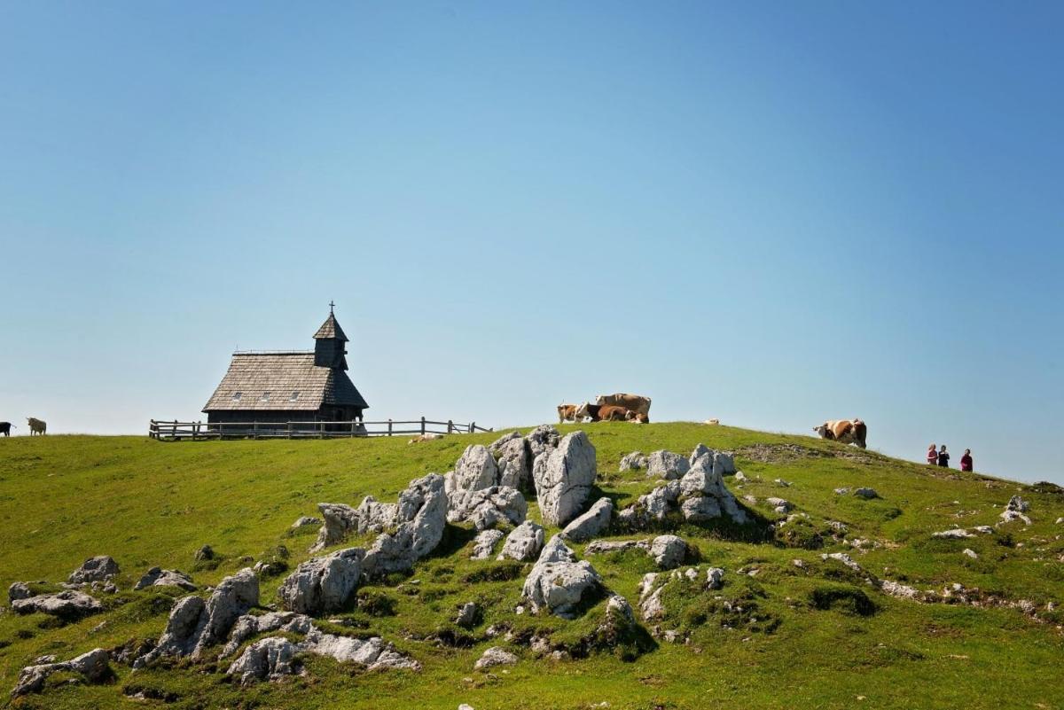 Vila Koca Predilnica Velika Planina Kamniska Bistrica Exteriér fotografie