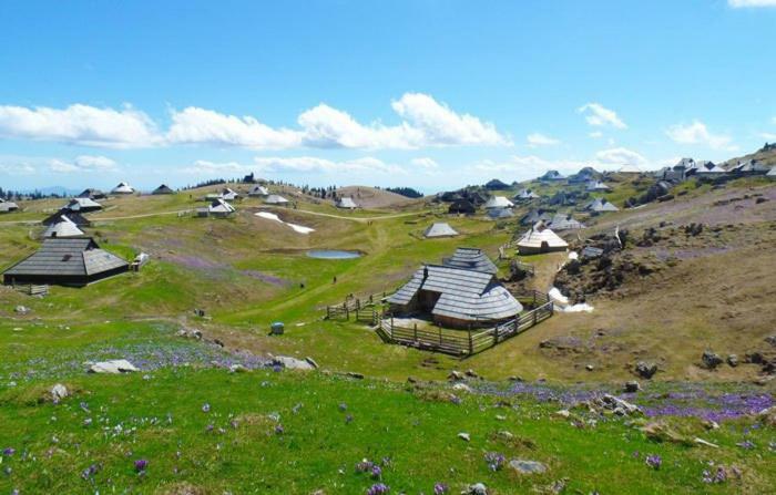 Vila Koca Predilnica Velika Planina Kamniska Bistrica Exteriér fotografie