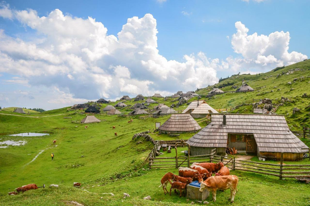 Vila Koca Predilnica Velika Planina Kamniska Bistrica Exteriér fotografie